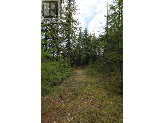 434 Lexington Ave, Home with 0 bedrooms, 0 bathrooms and null parking in Procter BC | Image 41