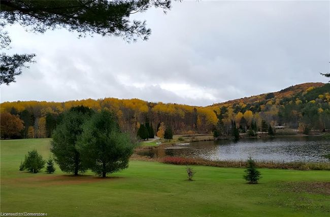 2937 Old Barrys Bay Rd, House other with 0 bedrooms, 0 bathrooms and 22 parking in Madawaska Valley ON | Image 16
