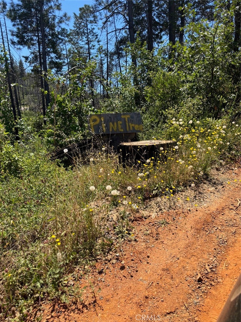 Land in Berry Creek