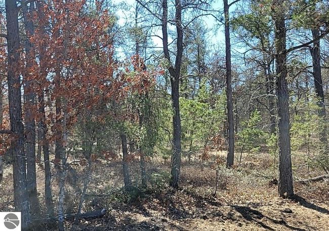Site 7 Lumberjack Court, Home with 0 bedrooms, 0 bathrooms and null parking in Grayling MI | Image 4
