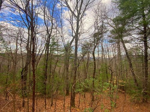 Lot 43 Granite Dr, Hayesville, NC, 28904 | Card Image