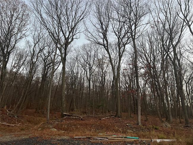 View of landscape | Image 5
