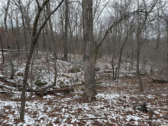 2 Bcr 924, Home with 0 bedrooms, 0 bathrooms and null parking in Patton MO | Image 5