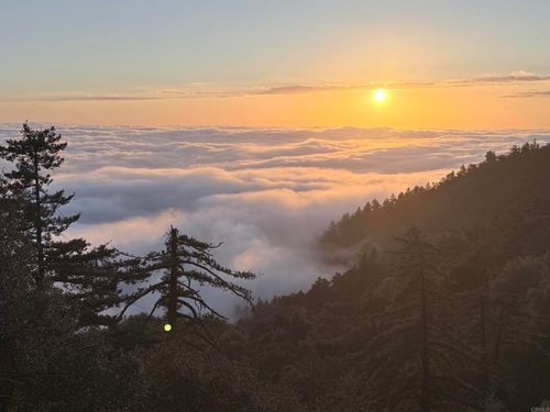32900 S Grade Rd, Palomar Mountain, CA, 92060-1730 | Card Image