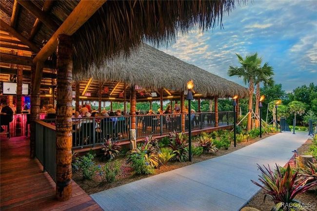 877 Silver Meadow Loop, House other with 3 bedrooms, 2 bathrooms and null parking in Hernando FL | Image 44