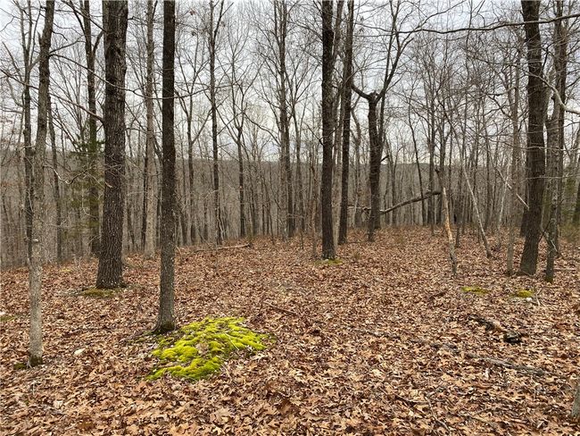 000 Holmes Rd, Home with 0 bedrooms, 0 bathrooms and null parking in Mountain View AR | Image 18