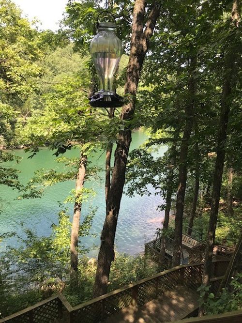 3109 County Road 148, Eureka Springs, AR, 72632-9057 | Card Image