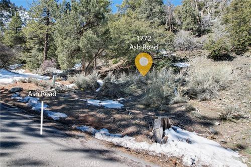 1772 Ash, Wrightwood, CA, 92397 | Card Image