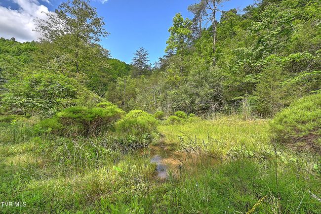 000 Goode Hollow Rd, Home with 0 bedrooms, 0 bathrooms and null parking in Duffield VA | Image 5