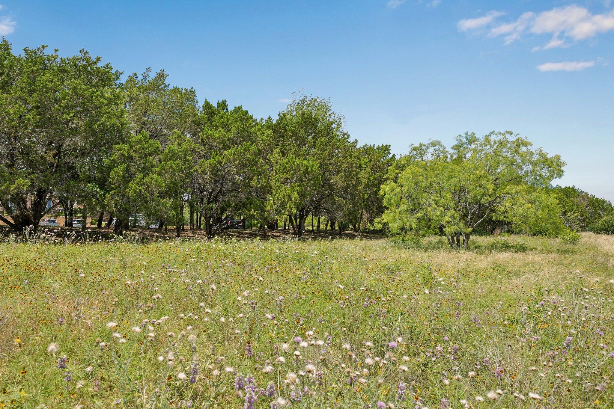 Commercial Sale in Lago Vista 5