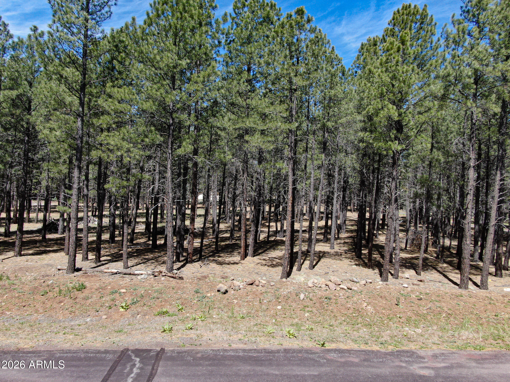Land in Flagstaff 5