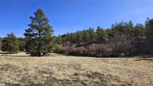 338 Rancho La Garita, Weston, CO, 81091 | Card Image