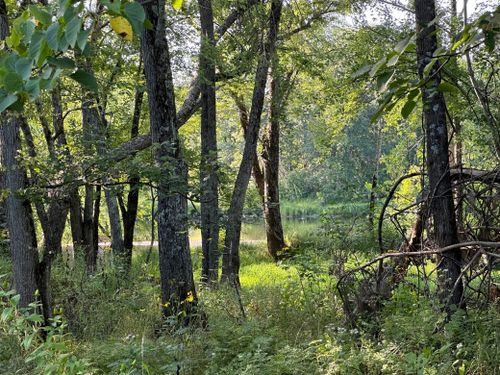 12609 Mcdonald Rd, BRUCE, WI, 54819 | Card Image