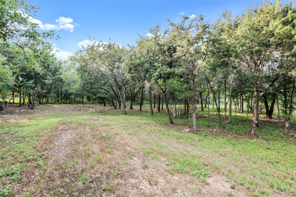 Savanna Terrace Dr, Liberty Hill, TX 78642