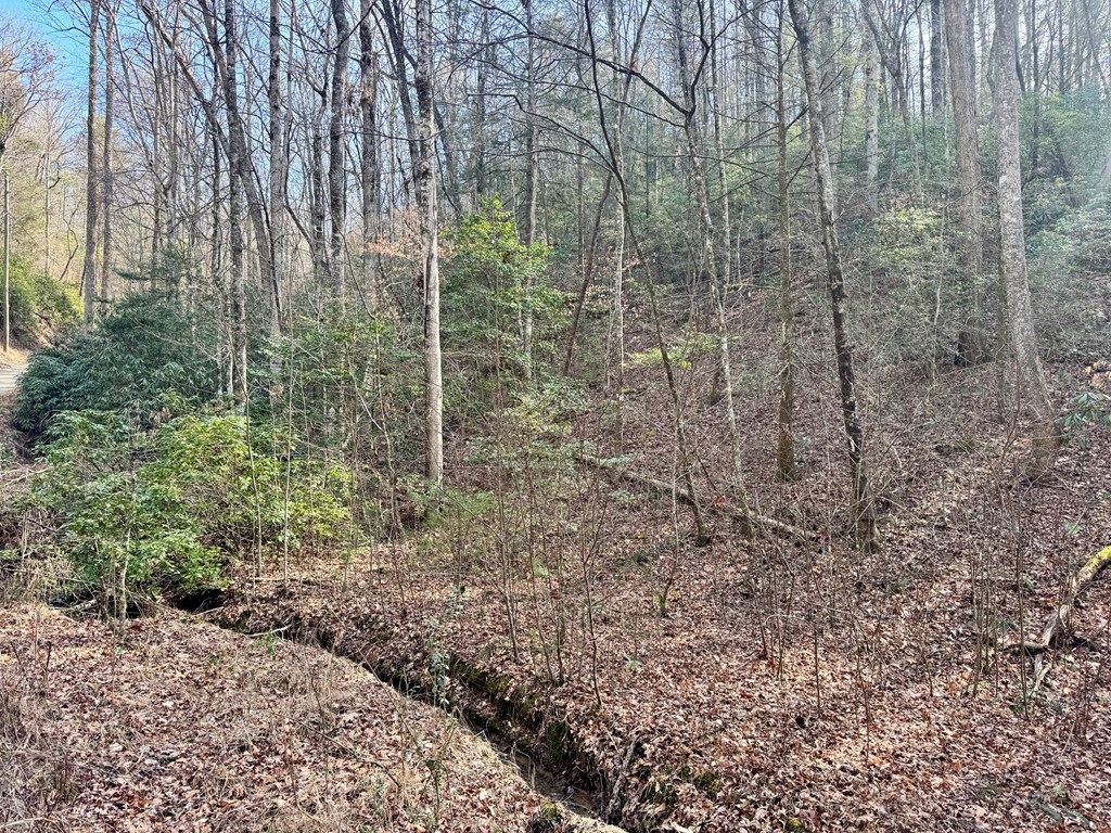 Land in Ellijay 4