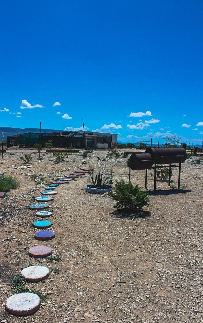 View of yard | Image 23
