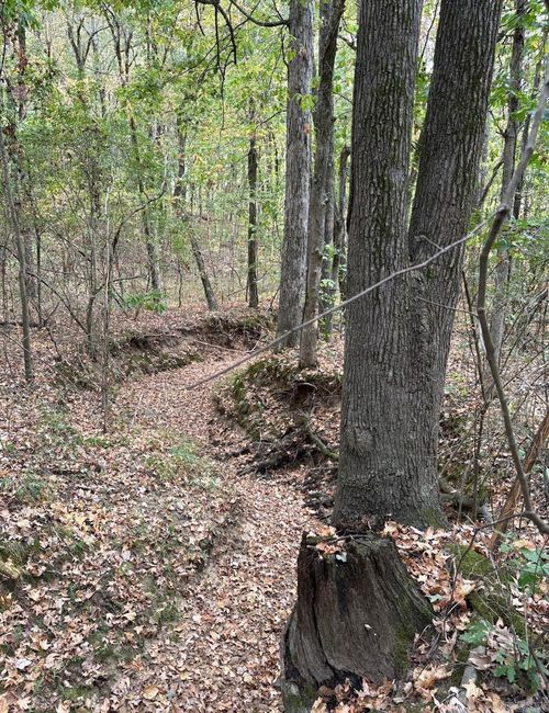 3.03 Acres County Road 389, Bono, AR, 72416 | Card Image