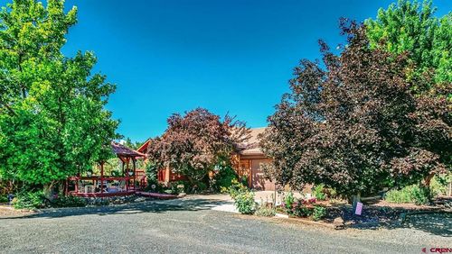 16113 Bull Mesa Rd, Cedaredge, CO, 81413-8351 | Card Image