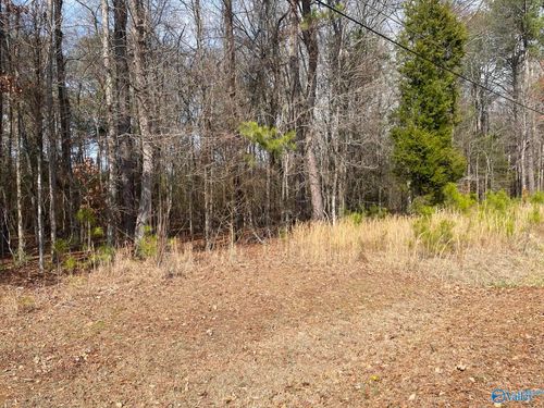 Lot 4 Indian Lake Dr, Rainbow City, AL, 35906-7400 | Card Image