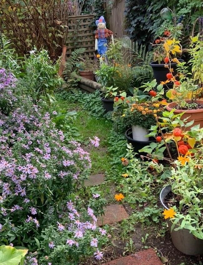 View of yard | Image 32