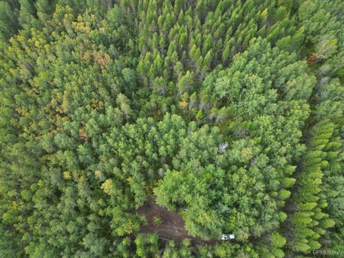 TBD Off Cr 426 Road, Cornell, MI, 49818 | Card Image