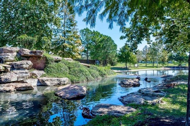 Community tranquil pond | Image 38