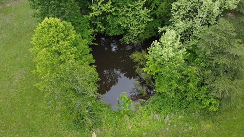 94 Acres Towery Cemetery Road, Princeton, KY, 42445 | Card Image