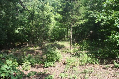 5, 6 & 7 Westmoreland Drive, Bull Shoals, AR, 72619 | Card Image