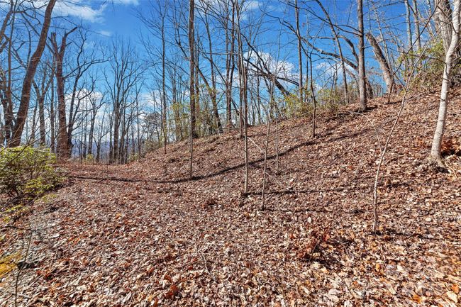 965 Wolf Pen Rd, Home with 0 bedrooms, 0 bathrooms and null parking in Old Fort NC | Image 8