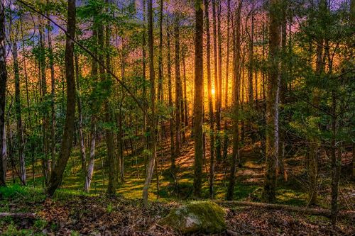 Lot 26 Estates Dr, Ellijay, GA, 30536-7171 | Card Image