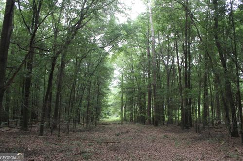 0 Ga Highway 49 S, Oglethorpe, GA, 31068 | Card Image