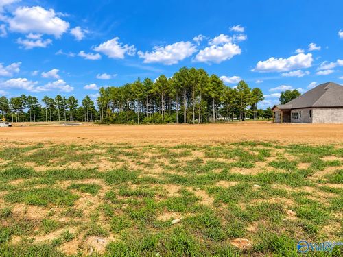 12345 Spyglass Lane, Athens, AL, 35613 | Card Image
