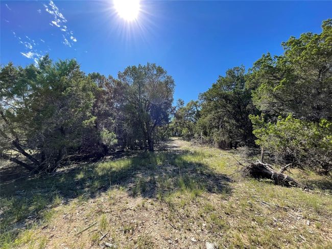 7717 Calcutta Run Dr, Home with 0 bedrooms, 0 bathrooms and null parking in Jonestown TX | Image 10