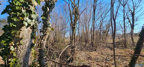 1 +/- Acre Alabama Highway 227, Geraldine, AL, 35974 | Card Image