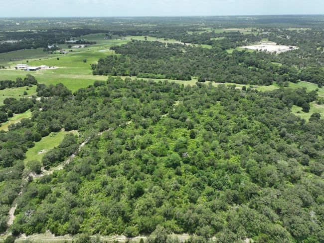 Bird's eye view of a forest | Image 12