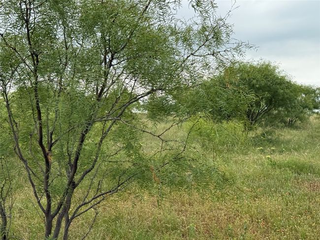 0000 Turtle Hole Rd, Home with 0 bedrooms, 0 bathrooms and null parking in Graham TX | Image 5