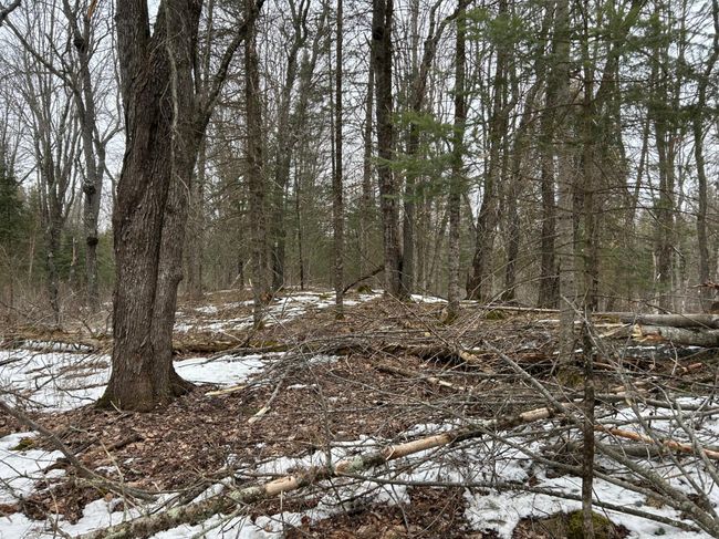 743 Woodlawn Rd, House other with 2 bedrooms, 1 bathrooms and null parking in Pickerel WI | Image 72