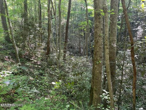 Lot 76 Sycamore Dr, Sevierville, TN, 37876 | Card Image