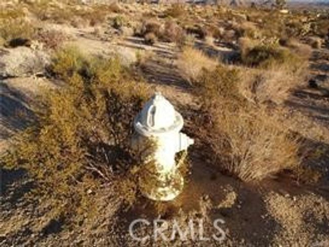 7275 Saddleback Rd, Home with 0 bedrooms, 0 bathrooms and null parking in Joshua Tree CA | Image 8