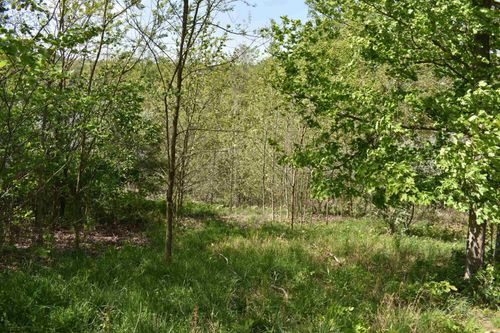 Lot 54 Sanctuary Cv, Morgantown, WV, 26508 | Card Image