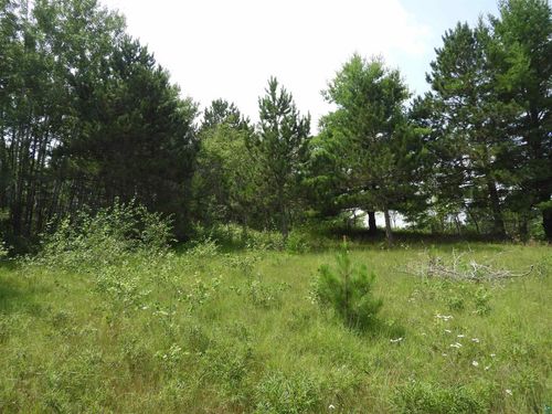 XXXX Moon Drive, Iron River, WI, 54847 | Card Image