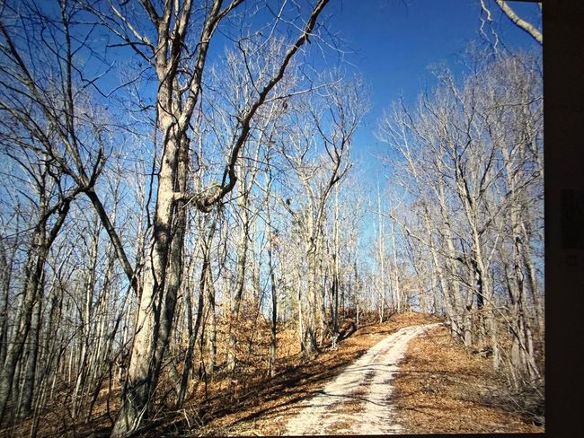 road on property | Image 33