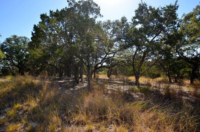 K12104 Custers Cir, Home with 0 bedrooms, 0 bathrooms and null parking in Horseshoe Bay TX | Image 9