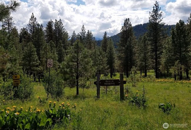 22103 Camp 12 Rd, Home with 0 bedrooms, 0 bathrooms and null parking in Leavenworth WA | Image 11