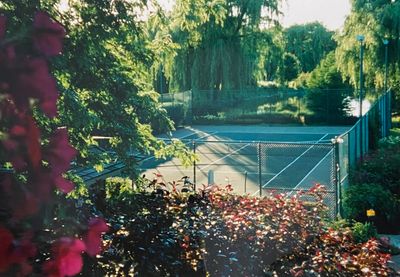 Tennis Court with Beautiful Landscapping | Image 1