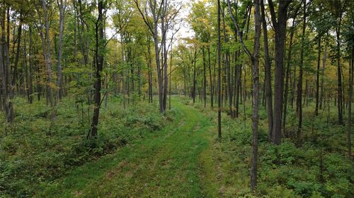 000 Nehrbass Rd, Athens, WI, 54411 | Card Image