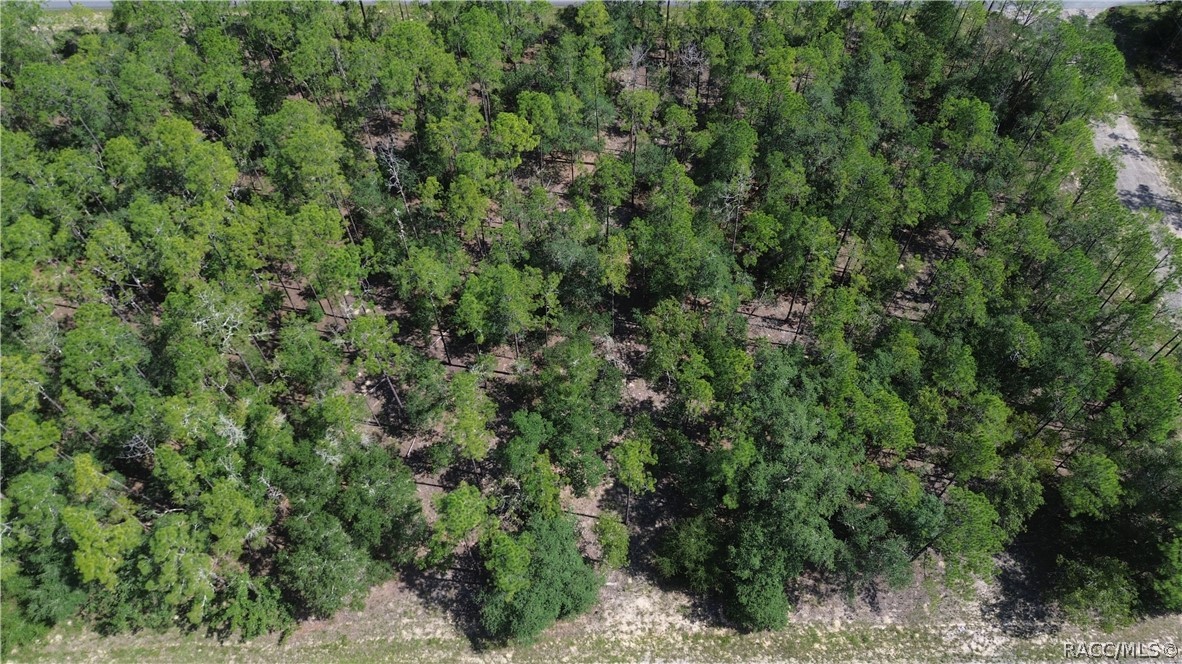 Land in Citrus Springs 5