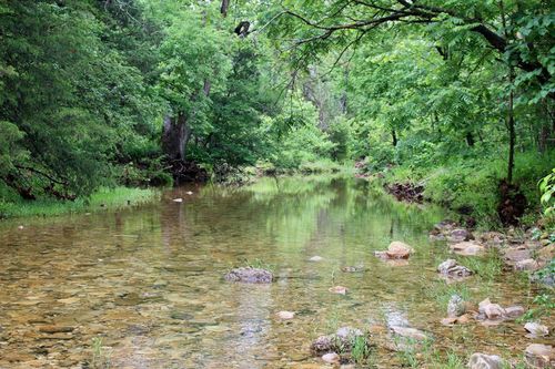 1245 County Road 124, Calico Rock, AR, 72519 | Card Image