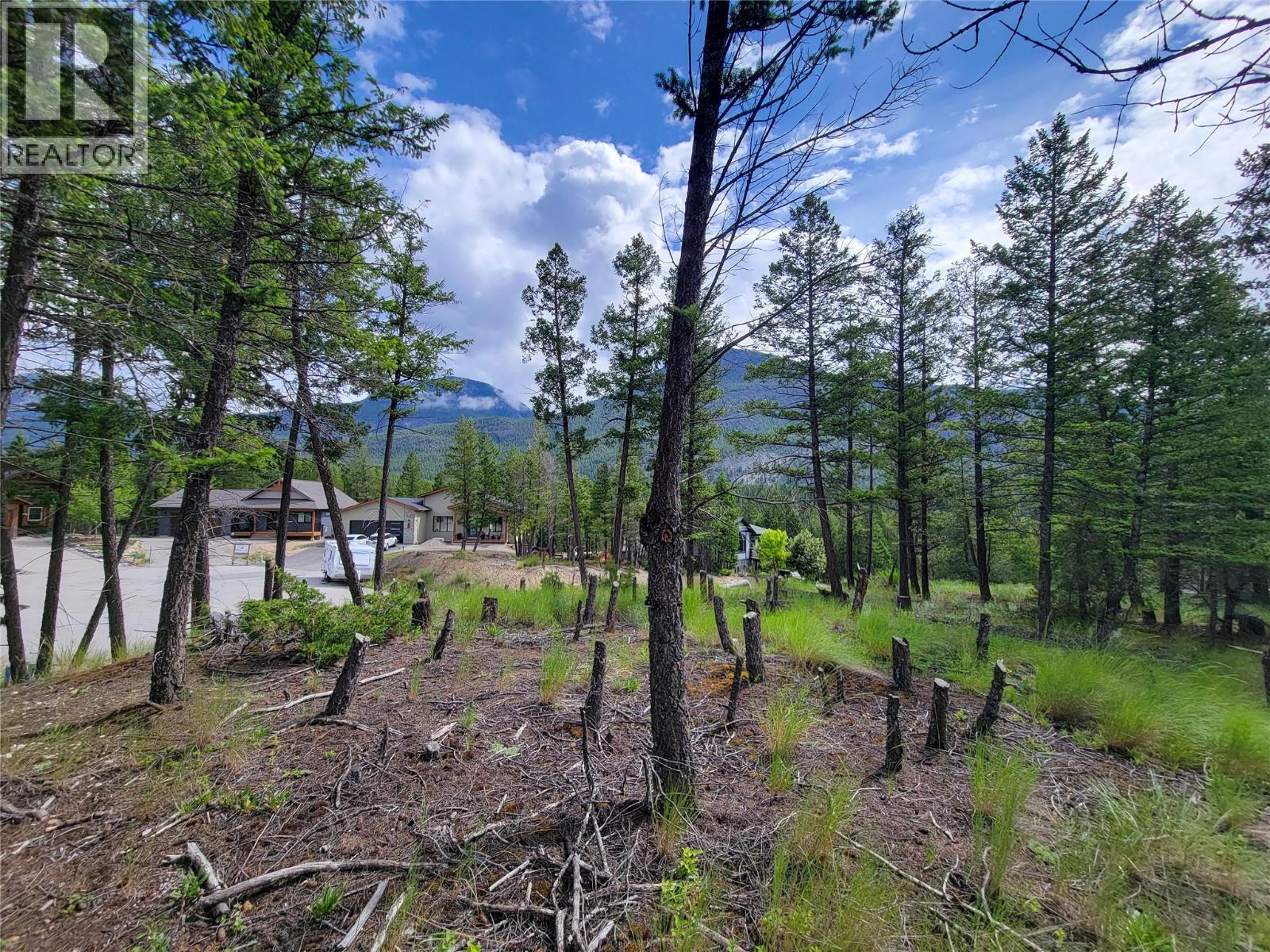 Land in Windermere 5