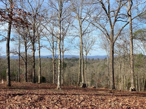 10 Arbor Creek Trl, Mineral Bluff, GA, 30559 | Card Image
